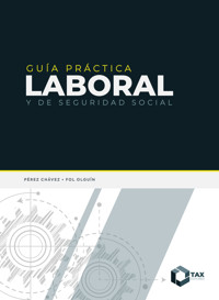 Guía práctica laboral y de seguridad social 2025 - José Pérez Chávez - ebook