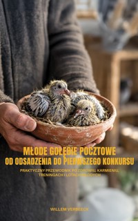 Młode Gołębie Pocztowe. Od odsadzenia do pierwszego konkursu - Willem Verbeeck - ebook