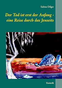 Der Tod ist erst der Anfang - eine Reise durch das Jenseits - Sabine Dilger - ebook