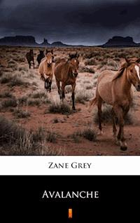 Avalanche - Grey Zane - ebook