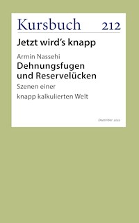 Dehnungsfugen und Reservelücken - Armin Nassehi - ebook