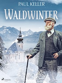 Waldwinter - Paul Keller - ebook