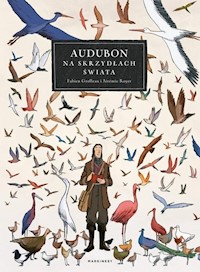 Audubon Na skrzydłach świata - Grolleau Fabien, Royer Jérémie - książka