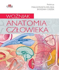 Anatomia człowieka. Woźniak -  - książka