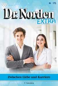 Zwischen Liebe und Karriere - Vandenberg Patricia - ebook