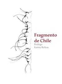 Fragmento de Chile - Rodrigo Karmy Bolton - ebook