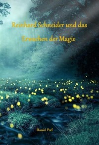 Reinhard Schneider und das Erwachen der Magie - Eine Zauberer Hexen Magier Fantasy Magic Zauberschule Nürnberg Geschichte - Daniel Perl - ebook