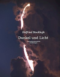Dunkel und Licht - Helfried Stockhofe - ebook