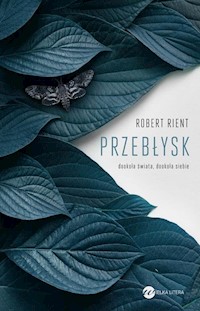 Przebłysk. Dookoła świata, dookoła siebie - Robert Rient - książka
