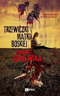 Trzewiczki Matki Boskiej - Sokolińska Joanna - książka