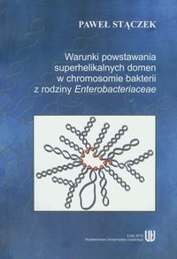 Warunki powstania superhelikalnych domen w chromosomie bakterii z rodziny Enterobacteriaceae - Stączek Paweł - książka