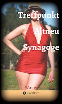 Treffpunkt Altneu Synagoge - Walter Scheele - ebook