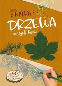 Ptaki naszych lasów - Katarzyna Kopiec-Sekieta - książka