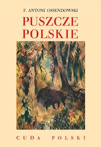 Puszcze polskie - Ossendowski Antoni Ferdynand - książka