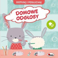 Dotknij i posłuchaj. Domowe odgłosy - praca zbiorowa - książka