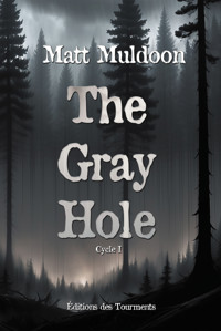 The Gray Hole - Matt Muldoon - ebook