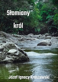Słomiany król - Józef Ignacy Kraszewski - ebook