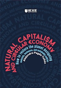 Natural capitalism & circular economy - Alejandro Pagés Tuñón - ebook