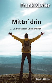 Mittn'drin - Frank Xavier - ebook