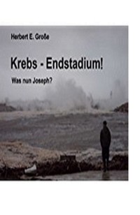 Krebs-Endstadium! Was nun Joseph? - Herbert E. Große - ebook