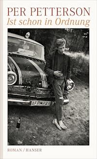Ist schon in Ordnung - Per Petterson - ebook