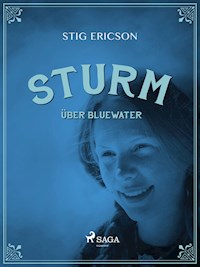 Sturm über Bluewater - Stig Ericson - ebook