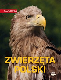 Nasza Polska Zwierzęta Polski - Weber Sylwia - książka