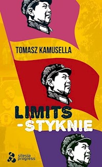 Styknie / Limits / Silesia Progress - Kamusella Tomasz - książka