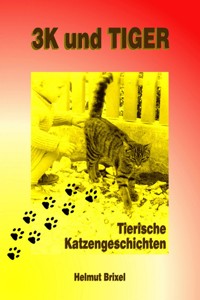 3K und TIGER - Helmut Brixel - ebook