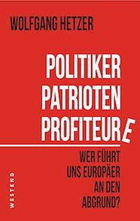 Politiker, Patrioten, Profiteure - Wolfgang Hetzer - ebook