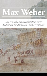 Die römische Agrargeschichte in ihrer Bedeutung für das Staats- und Privatrecht - Max Weber - ebook