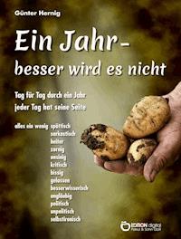 Ein Jahr – besser wird es nicht - Günter Hernig - ebook