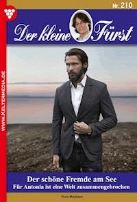 Der schöne Fremde am See - Viola Maybach - ebook