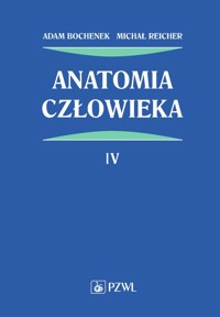 Anatomia człowieka. Tom 4 - Adam Bochenek, Michał Reicher - książka