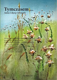 Tymczasem - Lilpop-Klimiuk Anna - książka