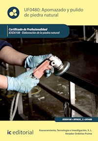 Apomazado y pulido de piedra natural. IEXD0108 - Tecnología e Investigación S.L. Asesoramiento - ebook