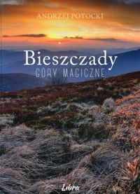 Bieszczady Góry magiczne - Potocki Andrzej - książka