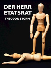 Der Herr Etatsrat - Theodor  Storm - ebook