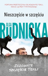 Nieszczęście w szczęściu - Olga Rudnicka - ebook + audiobook + książka