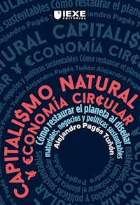 Capitalismo Natural y Economía Circular - Alejandro Pagés Tuñón - ebook