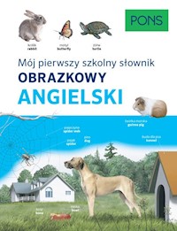 Słownik obrazkowy szkolny angielski -  - książka