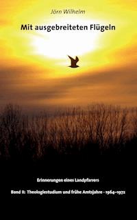 Mit ausgebreiteten Flügeln - Jörn Wilhelm - ebook