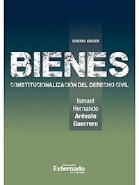 Bienes Constitucionalización del Derecho Civil - Ismael Hernando Arévalo Guerrero - ebook