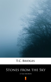 Stones from the Sky. A Tale for Boys - T.C. Bridges - ebook