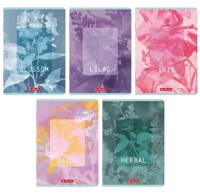 Zeszyt Herlitz Standard Blossom A5/60k linia z marginesem, 1 szt -  - książka