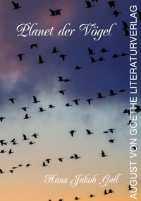 Planet der Vögel - Hans Jakob Gall - ebook