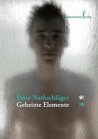 Geheime Elemente - Nathschläger Peter - ebook