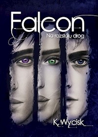 Falcon Na rozstaju dróg Tom 2 - Wycisk Katarzyna - książka