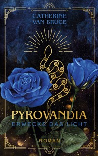 Pyrovandia - Erwecke das Licht - Catherine van Bruce - ebook