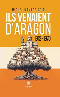 Ils venaient d’Aragon - Michel Manade Roig - ebook